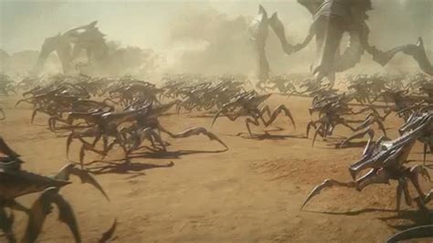 Arachnids GIF - StarshipTroopers TraitorOfMars StarshipTroopersGifs ...