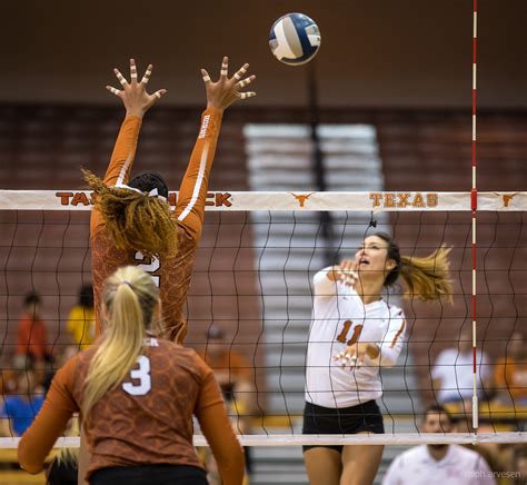 University of Texas Longhorn volleyball Orange-White scrimmage in ...