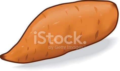 100,000 Yam Vector Images | Depositphotos - Clip Art Library