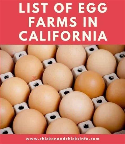 List of Egg Farms in California - Find a Supplier Near You! - Chicken & Chicks Info