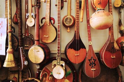 Kinds Of Stringed Instruments