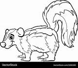 Skunk animal Cartoon coloring Page Royalty Free Vector Image sketch template
