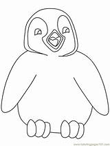 Cute Penguin Coloring Pages  Home sketch template