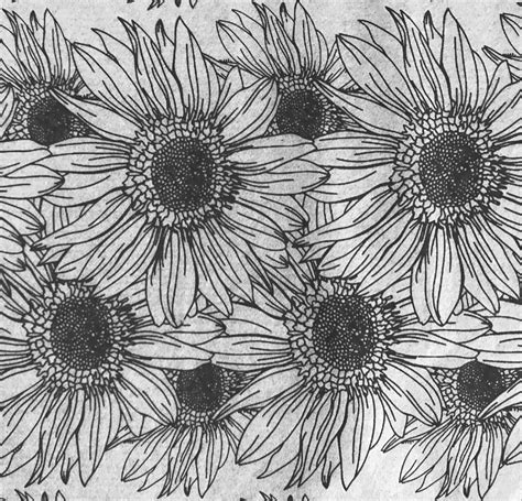 Sunflower Border - Underglaze Transfer Sheet - Black – Elan Transfers