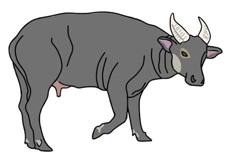 Carabao Drawing | Free download on ClipArtMag