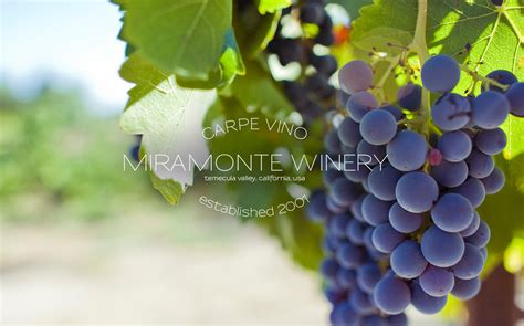 Temecula Valley Winery and Tasting Room - Miramonte Winery