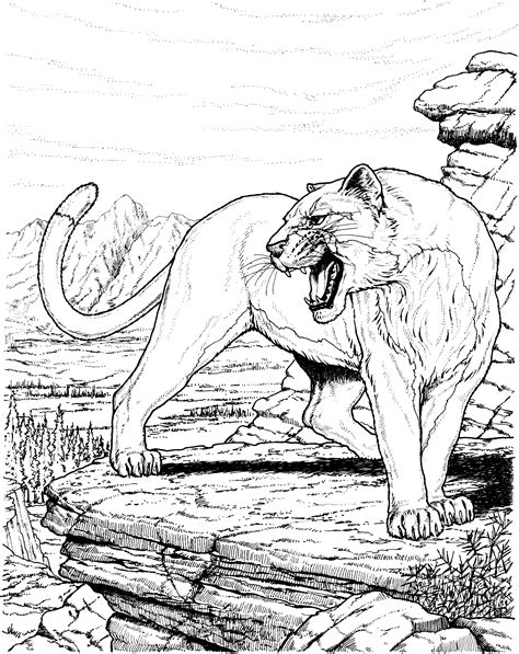 cougar-6.gif (2143×2702) | Lion coloring pages, Animal coloring pages, Adult coloring pages