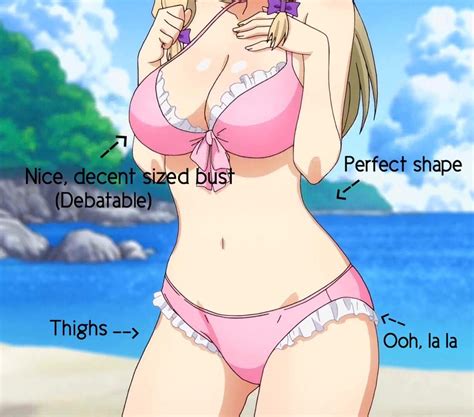 HOW TO FIND THE PERFECT WAIFU | Anime Amino