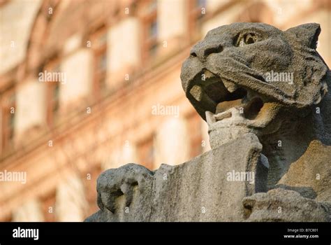 Stone statue of a tiger on the campus of Princeton University Stock Photo - Alamy