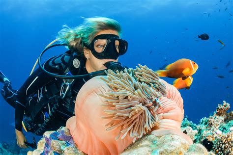 14 Seriously Fun Facts about Scuba Diving | Facts