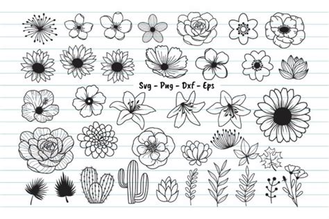 37 Flowers Bundle Svg, Flower Svg Files Graphic by Dakhashop · Creative Fabrica