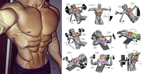 How to Get a Bigger Chest - 7 Easy Chest Exercises to Get Your Pecs ...