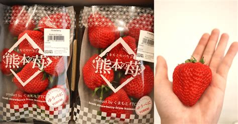 The most expensive fruits in Japan