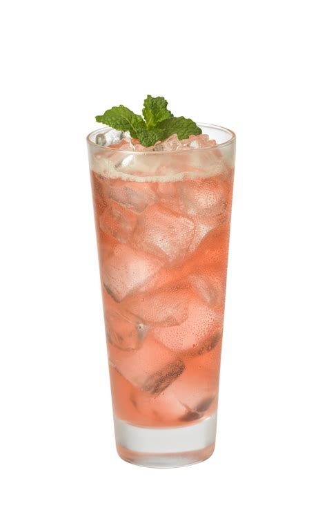 Fruit Soda PNG - PNG All | PNG All