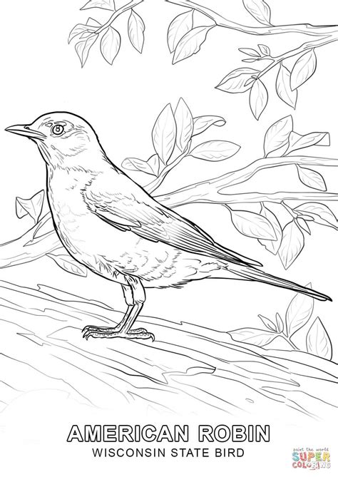 Wisconsin State Bird coloring page | Free Printable Coloring Pages