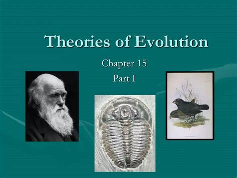 PPT - Theories of Evolution PowerPoint Presentation, free download - ID:3066314