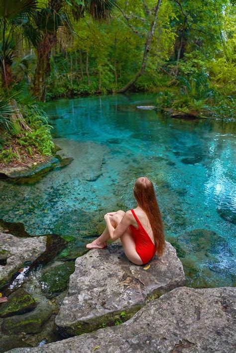 Tips For Kelly Park/Rock Springs: The Perfect Florida Oasis - Florida Trippers