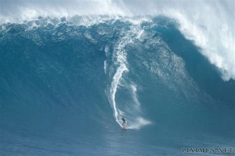 Surfing Giant Waves | Others