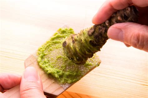 Real vs. Fake Wasabi: The Surprising Truth on Your Sushi Plate