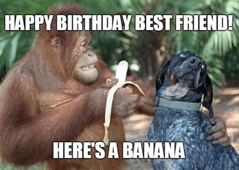 best friend birthday meme | Funny happy birthday meme, Happy birthday best friend, Best friend meme