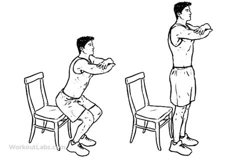 Chair Squats | Workout guide, Squats, Push workout