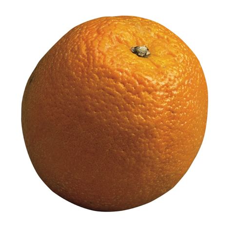 Navel Oranges