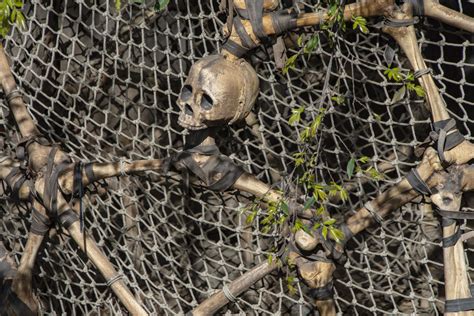 Skull In Fishing Net Free Stock Photo - Public Domain Pictures