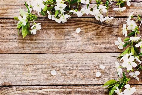 10 Upcycled Spring Crafts | Flower backdrop, Backdrops, Flowers