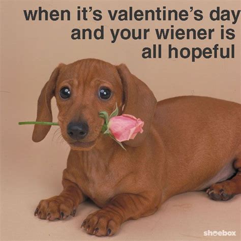 funny valentine memes 2024 - Funemesme