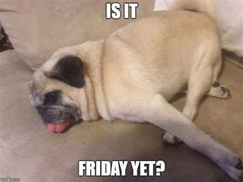 55 "Almost Friday" Memes When the Weekend Is Right Around the Corner | Funny friday memes ...