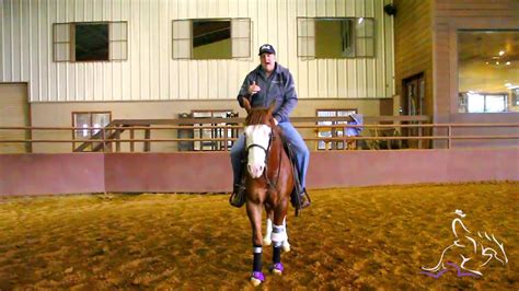 Reining Horse Training - Collected or not Collected in Spins with Tom ...