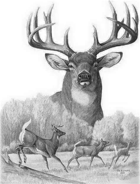 Deer Hunting Drawings at PaintingValley.com | Explore collection of ...