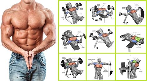 How to Get a Big Chest - 4 Exercises You Must Do - Bodydulding