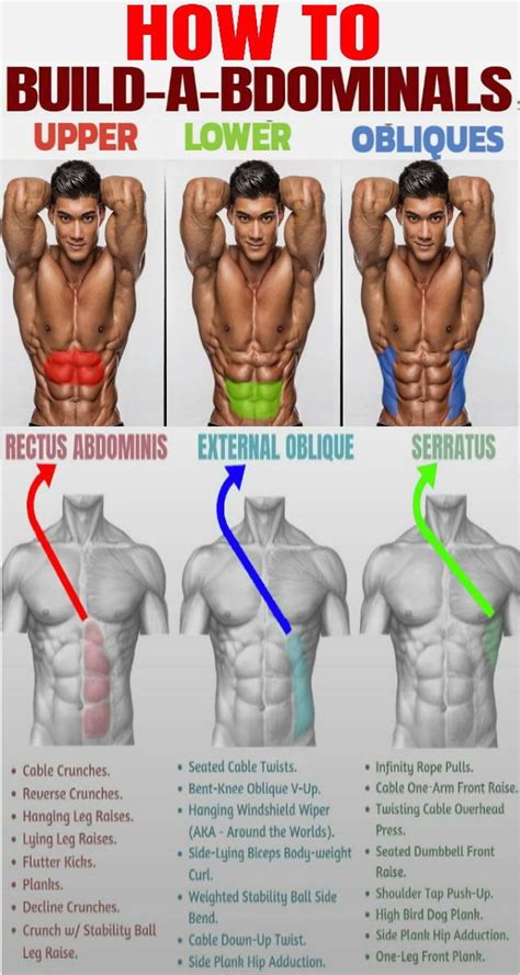 5 Achievable Oblique Exercises For Core Strength & A Flat Stomach - GymGuider.com | Exercícios ...