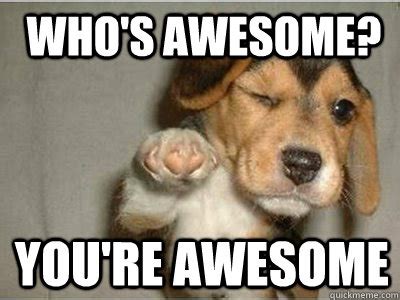 Who's awesome? you're awesome - Puppy Love - quickmeme