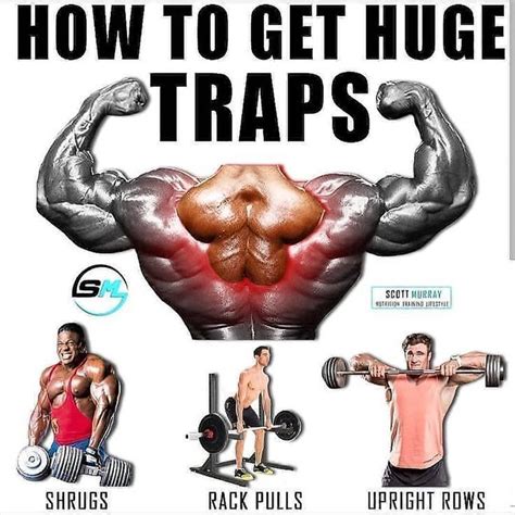 Traps Workout & Training Plan To Build Towering Traps - GymGuider.com ...