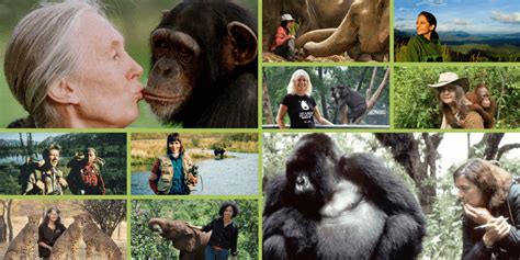 Top 15 Inspirational Animal Rights Activists (Female Heroes)