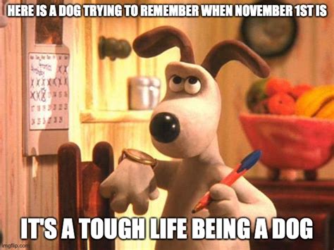 wallace and gromit Memes & GIFs - Imgflip