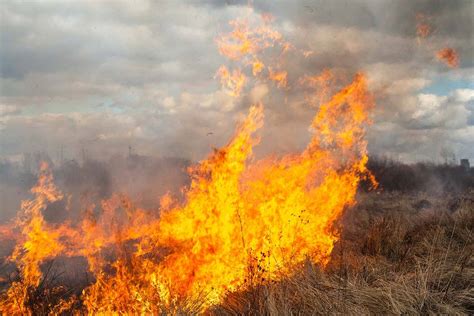 Fears Victoria will experience 'pretty dangerous' grass fires in coming ...