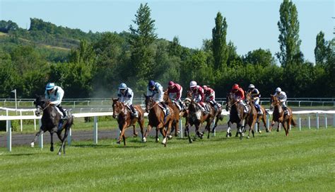 Fotos gratis : jockey, apuesta, las carreras de caballos, carrera de ...