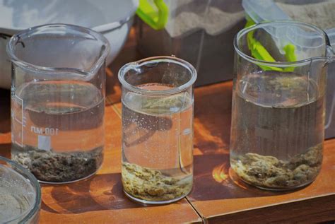 Mold in Water – Can Mold Grow in Water Sources?