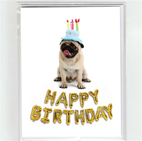 Pug & Balloons Happy Birthday Greeting Card, Dog, Dogs, Funny, Cute, Party Hat - Etsy Ireland