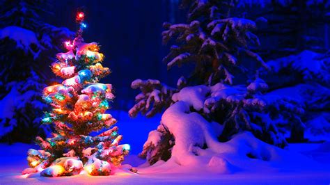 Snowy Christmas Tree Lights Wallpapers | HD Wallpapers | ID #17824