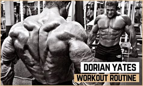 Dorian Yates' Workout Routinee & Diet (Updated 2024) - Jacked Gorilla