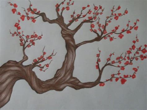 Sketch Pencil Sketch Cherry Blossom Tree Drawing - kundelkaijejwlascicielka