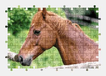 Horse - Jigsaw Puzzles Online