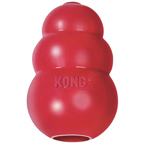 Are Kong Toys Safe For Puppies