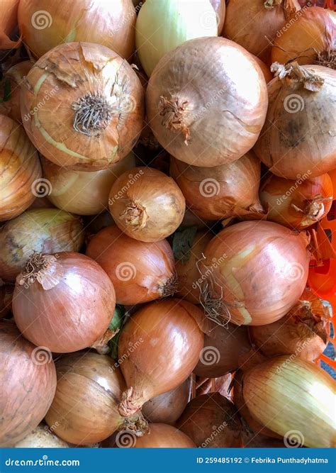 Bawang Bombay, Fresh Onions in Store Stock Photo - Image of produce, gourd: 259485192