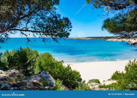 Crystal Clear Blue Mediterranean Sea Water on St.Croix Martigues Beach and Mediterranean Pine ...