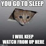 Ceiling Cat Meme Generator - Imgflip